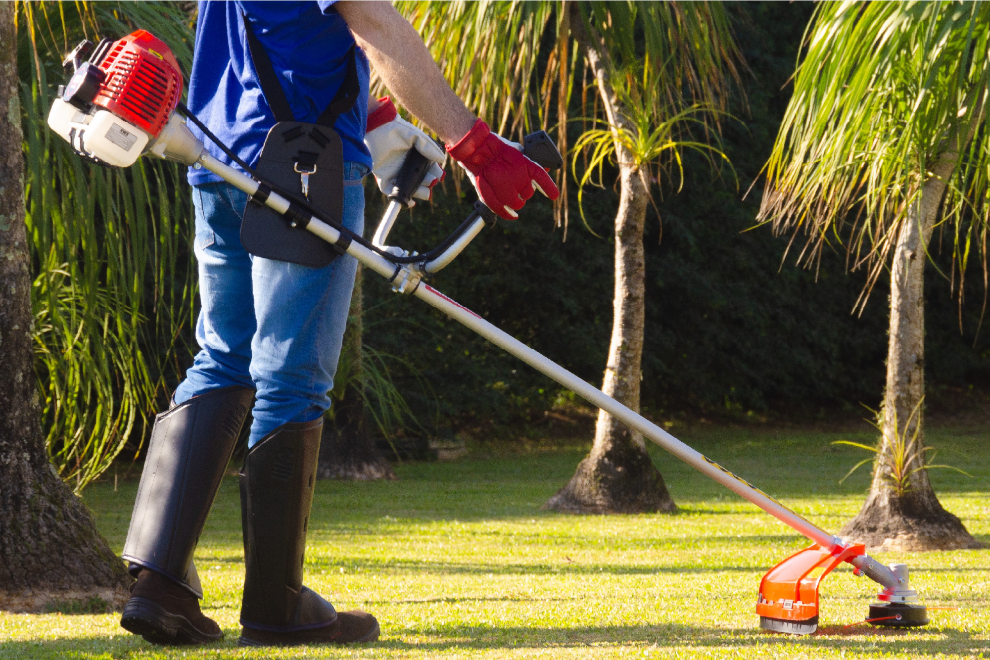 CCM do Brasil - Cód. 4301015